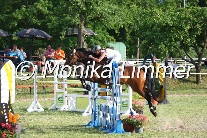 105M2955_Blue Sky_Spring_M.JPG